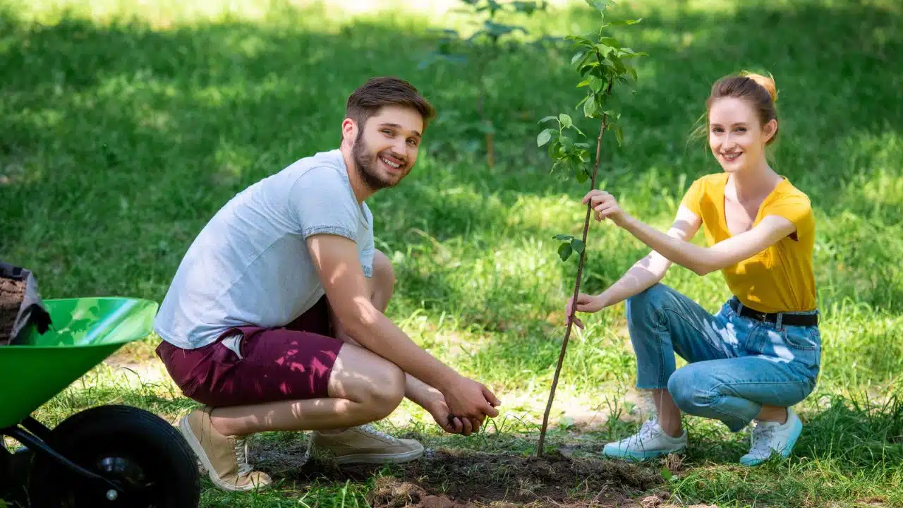 couple planting a tree