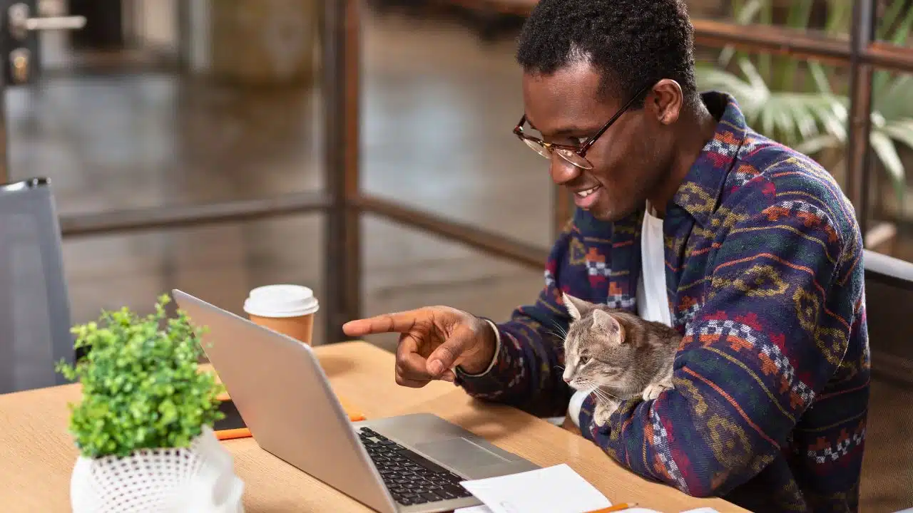 man working in office with cat