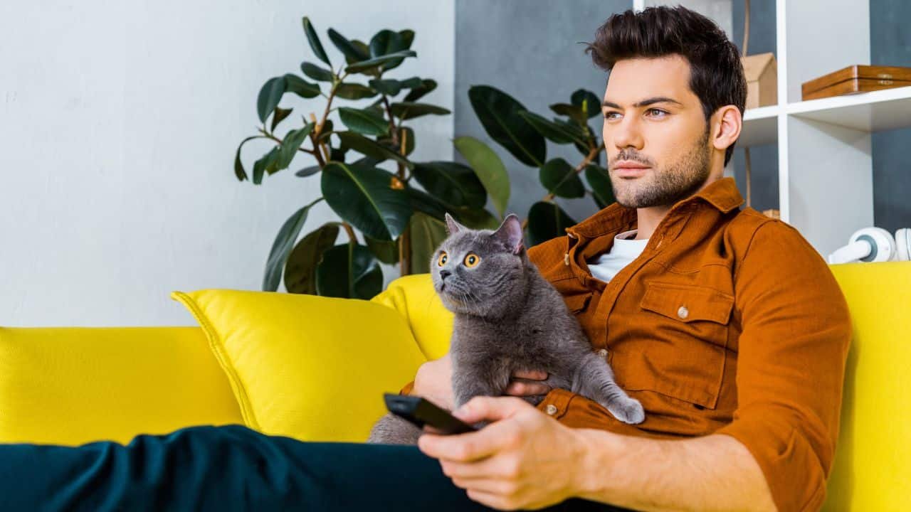 man with cat on lap watching tv